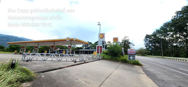 ขายปั้มน้ำมัน ขายปั้มน้ำมันเชลล์พัทลุง ขายปั้มพร้อมที่ดิน 7 ไร่-1-96 ตรว. 5 1000020977